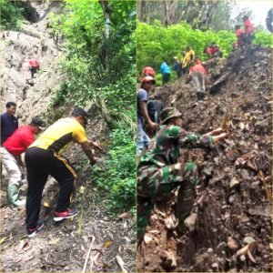 Paska Bencana Longsor, Perhutani KPH Lawu Ds Tanam Pohon Dipinggir Jalan Wisata Lingkar Telaga Ngebel