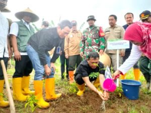 Direktur Operasi Perum Perhutani dan anggota Komisi VI DPR RI Tanam Bibit Pohon Sengon dan Balsa di Banyuwangi