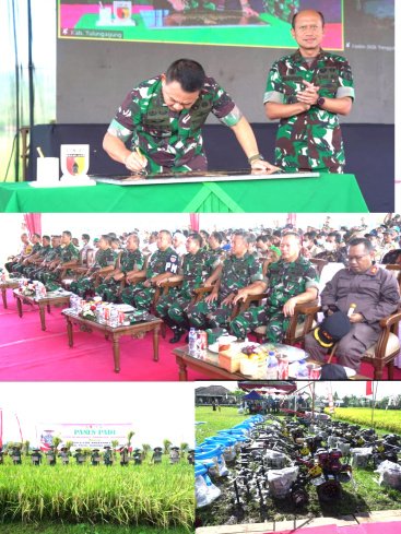 Pangdam V/Brawijaya Mendampingi Jenderal TNI Dr. Dudung Abdurachman dan Rombongan Dalam Panen Raya Padi di Tulungagung