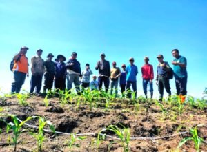 Perhutani KPH Banyuwangi Barat Lakukan Komunikasi Sosial Kepada Masyarakat Sekitar Hutan