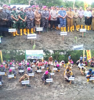Komandan Pasmar 2 Laksanakan Penanaman Mangrove Nasional Serentak di desa Tambak Cemandi