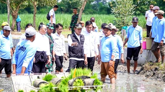 Lamongan Capai 28,30 Persen Luas Tambah Tanam, Optimis Genjot Produksi Padi Nasional