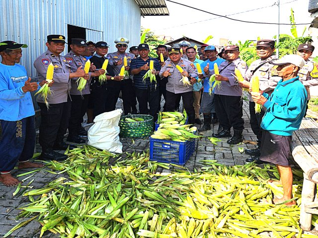 Polres Pelabuhan Tanjung Perak Panen 330 Kg Jagung Manis Dukung Ketahanan Pangan Nasional