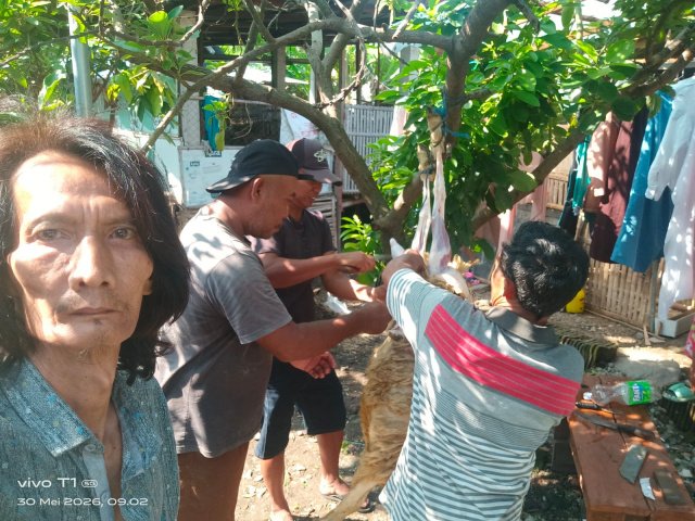 Iduladha 1447 H, DPD APPSI Jombang Sembelih 6 Ekor Kambing Kurban, Perkuat Semangat Berbagi dan Solidaritas